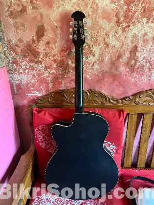 Signature guiter